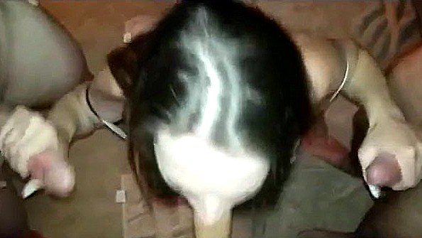 Любительница отсасывает несколько хуев парней