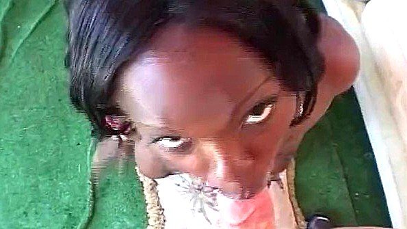 Негритянка пробует сосать белый хуй ради спермы